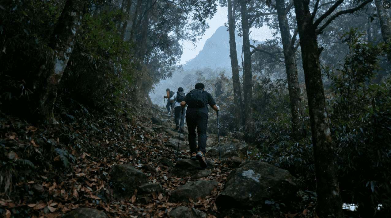 如何快速激活789加速器功能